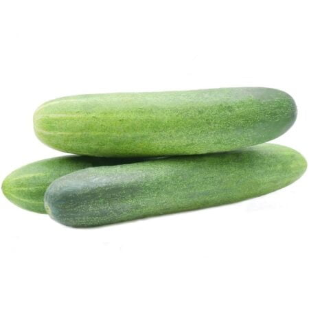 Cucumber