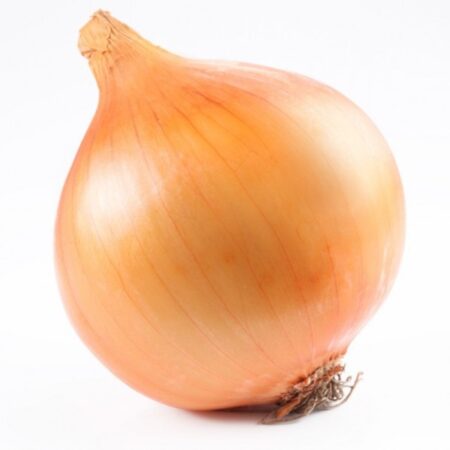 Onion